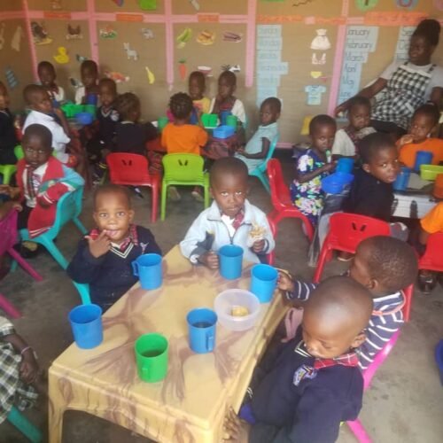 Donate to Newtons junior schools