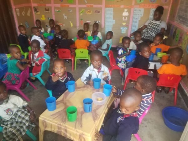 Donate to Newtons junior schools